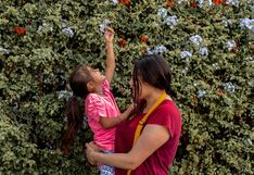 Salud mental: ¿Cómo brindar soporte emocional a las familias durante el tratamiento de enfermedades complejas en menores?