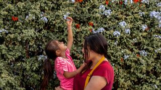 Salud mental: ¿Cómo brindar soporte emocional a las familias durante el tratamiento de enfermedades complejas en menores?