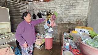 Temporada de lluvia en Arequipa: 60 viviendas afectadas por ingreso de agua
