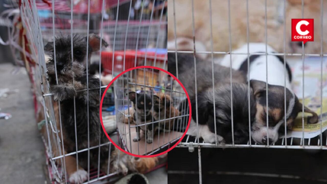 Fotos: Antonio Melgarejo/ @photo.gec