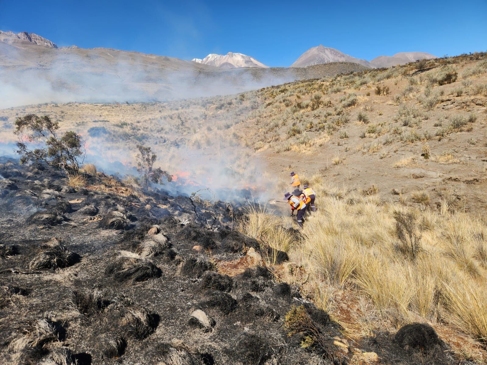 Incendio forestal en Yura afectó más de 800 hectáreas. Foto: Municipalidad de Yura.