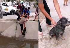 Chiclayo: policía rescata a perrito que cayó a una acequia