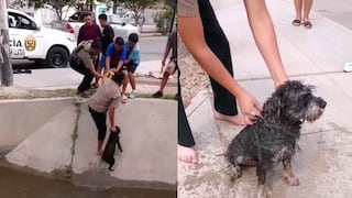 Chiclayo: policía rescata a perrito que cayó a una acequia