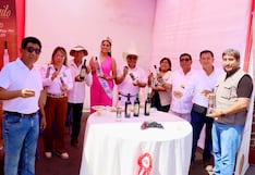 Festival por el Día Nacional del Pisco reunió a cientos de asistentes en la Plaza de Armas de Pisco