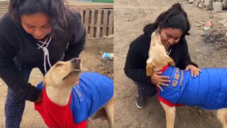 Mira cómo reacciona este perrito callejero al recibir ropa para abrigarse del frío en Lima (VIDEO)