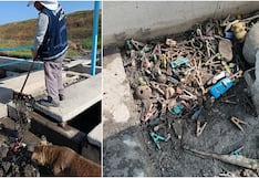 Residuos y grasa podrían hacer colapsar el sistema de desagüe en la provincia de Pisco