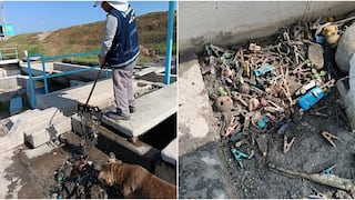 Residuos y grasa podrían hacer colapsar el sistema de desagüe en la provincia de Pisco