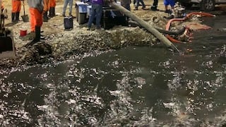 Rotura de red de desagüe afecta distribución del servicio en sectores de Piura