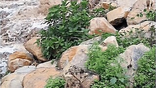 Agricultor muere al cruzar quebrada en Piura