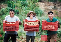 La región Junín es líder en exportación de cúrcuma