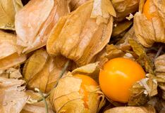 Universidad de Huánuco presenta sistema de clasificación de aguaymanto deshidratado