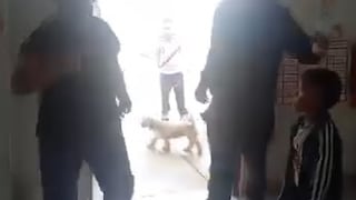 Huánuco: maestra de inicial fue atacada tras impedir grabación a menores