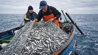 El Niño tendría una intensidad extrema: Mayor impacto se registraría a finales de año