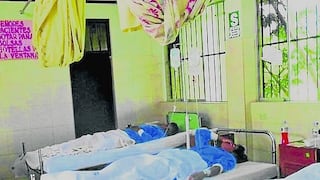 Dengue en Arequipa: Hallan un caso autóctono en el distrito de Acarí