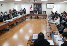 Comisión de Energía y Minas rechaza predictamen sobre la Ley MAPE