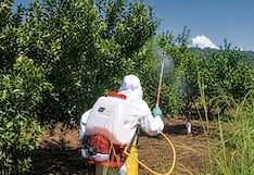 Arequipa: 14 agricultores sancionados por no cuidar cultivos