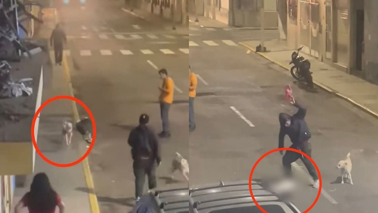 La dueña de la perrita exige justicia. La Policía ya lo busca.