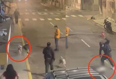 Hombre mata a golpes a una mascota en el centro de Trujillo