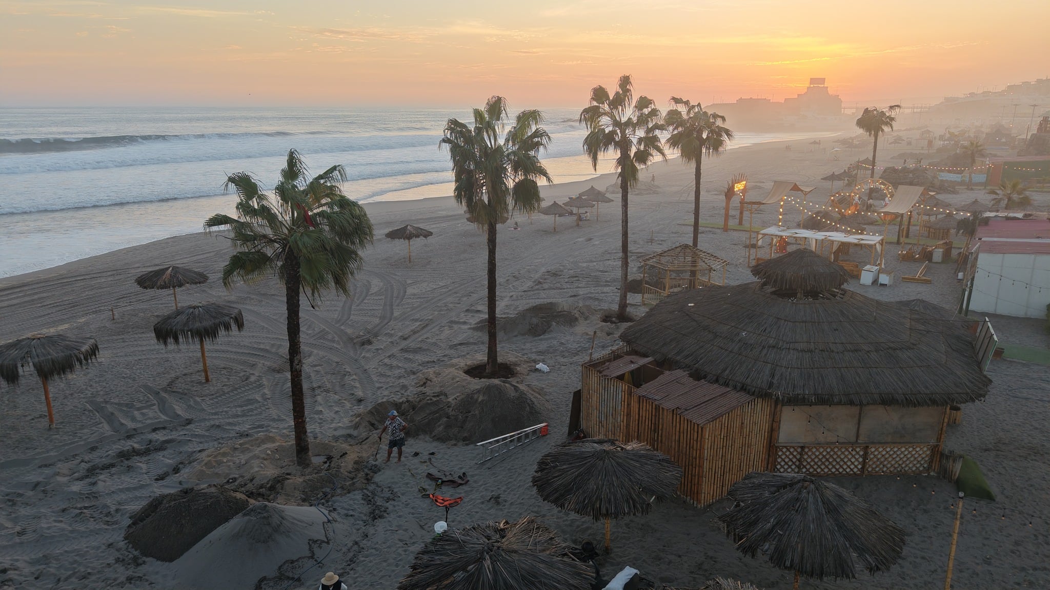 Plantan palmeras en las playas de Mollendo para mejorar el litoral arequipeño (Foto: Municipalidad de Islay)
