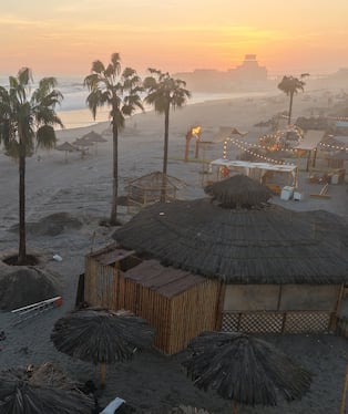Plantan palmeras en las playas de Mollendo para mejorar el litoral arequipeño (Foto: Municipalidad de Islay)