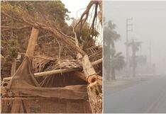 Vientos “paracas” causan destrozos y reducción de la visibilidad en la provincia de Pisco