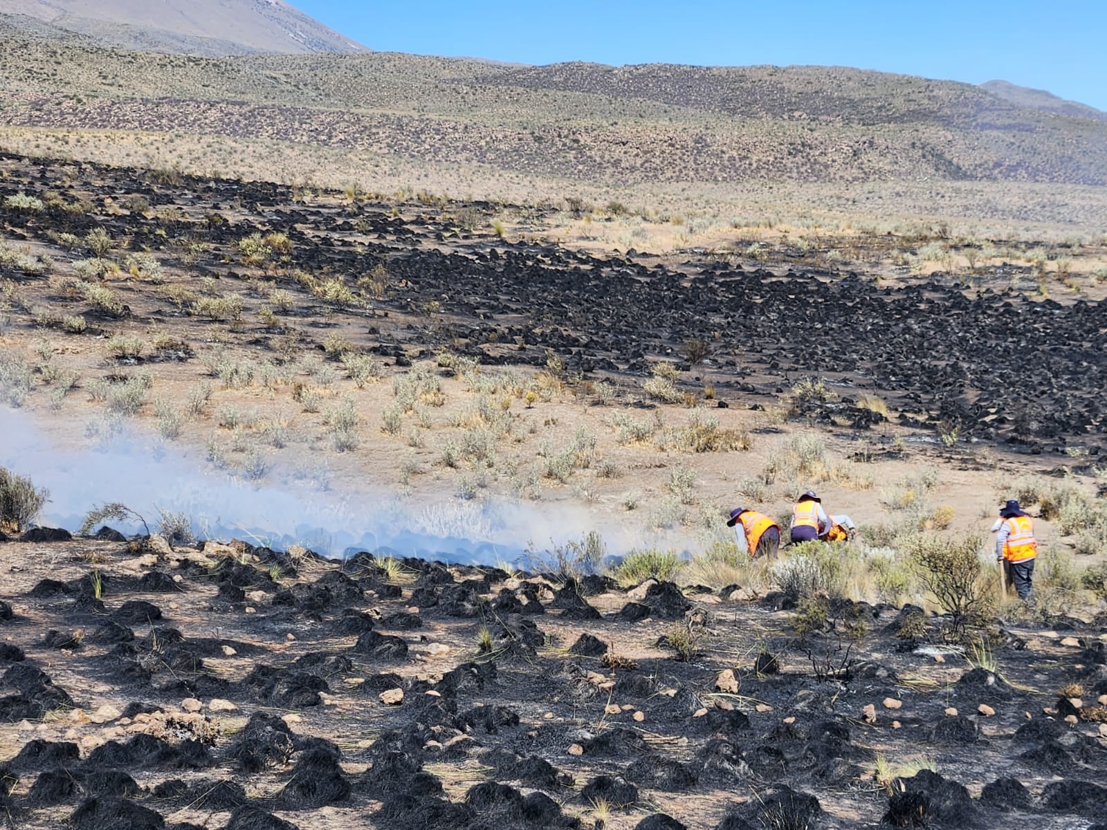 Incendio forestal en Yura afectó más de 800 hectáreas. Foto: Municipalidad de Yura.