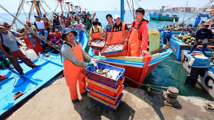 Anchoveteros se reunirán con la ministra de la Producción hoy en la tarde