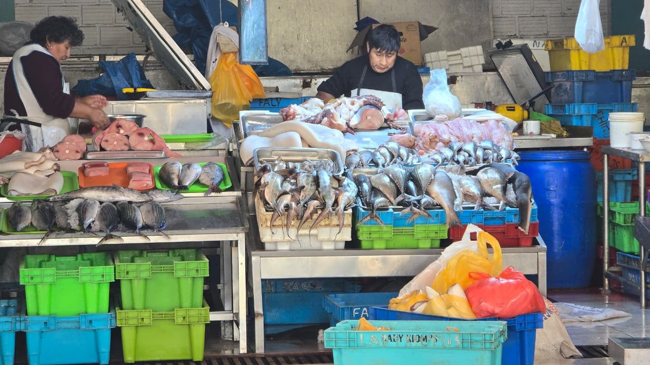 Precios de los pescados, mariscos y verduras en terminal pesquero El Palomar, en Arequipa. (Foto: Yunsu Pariapaza/@photo.gec)