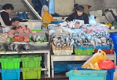 Sepa AQUÍ los precios de los pescados, mariscos y verduras en El Palomar, en Arequipa (VIDEO)