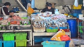 Sepa AQUÍ los precios de los pescados, mariscos y verduras en El Palomar, en Arequipa (VIDEO)
