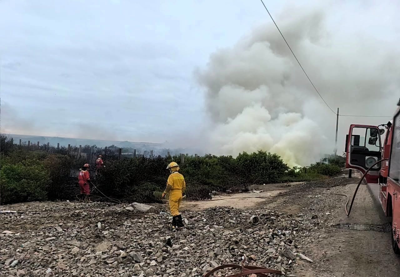 Incendio forestal en la provincia de Islay genera densa humareda. Foto: Municipalidad Provincial de Islay.