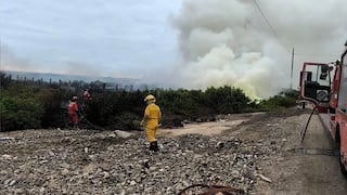 Arequipa: Incendio forestal en la zona “La Aviación” genera densa humareda en Islay