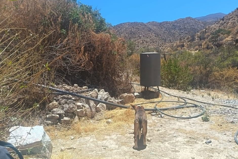 Intervienen campamentos mineros en Lluta, provincia de Caylloma. Foto: Protejamos el Medio Ambiente - PNP.