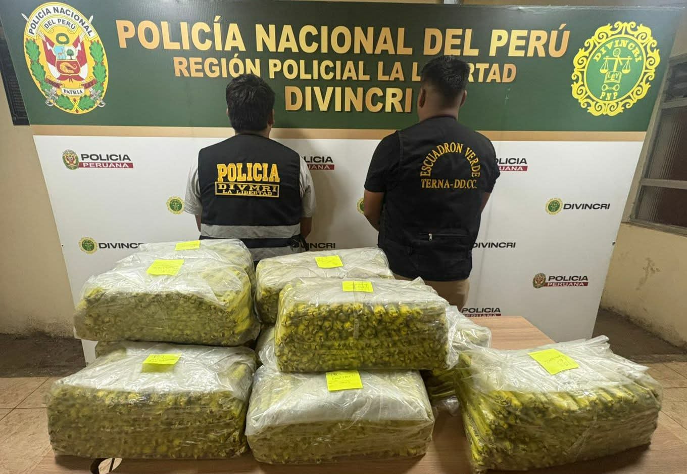 La mujer no supo explicar cómo había logrado reunir esa cantidad de explosivos y tampoco delató a nadie.