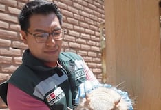 Arequipa: Prohíben uso de animales en rituales y “limpias” de fin de año