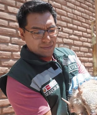 Serfor prohíbe uso de quirquincho en limpias de Año Nuevo. Foto: Serfor.