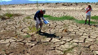 Escasez de agua generaría alza del precio de alimentos en Piura
