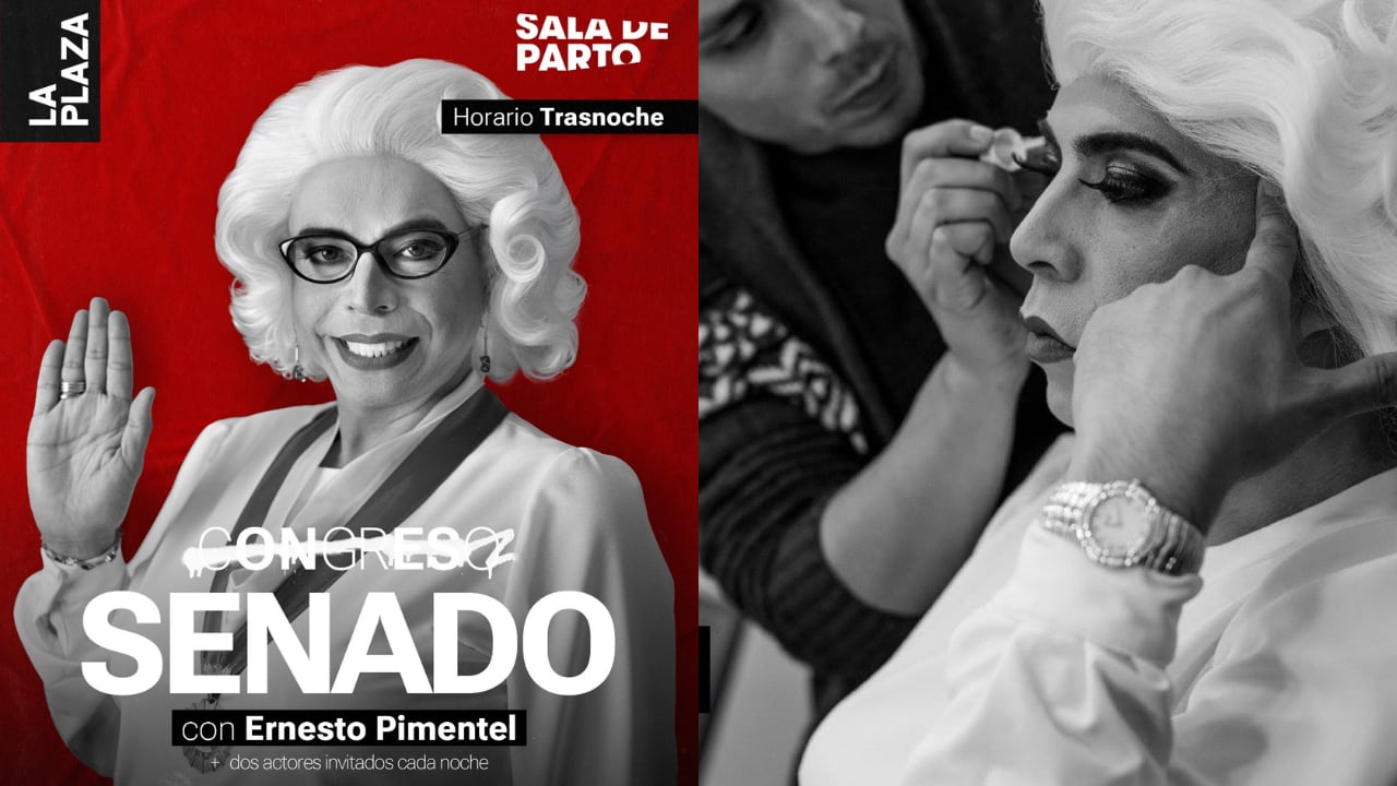 La obra transforma el escenario en un hemiciclo ficticio donde se debate una polémica ley, combinando improvisación, humor y crítica social.