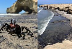 Alcalde de Lobitos sobre derrame de petróleo: “No permitiremos que actos como este queden impunes”