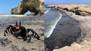 Alcalde de Lobitos sobre derrame de petróleo: “No permitiremos que actos como este queden impunes”