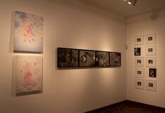 II Salón de Arte Joven Arequipa llega a Lima con 14 artistas emergentes del sur