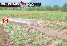 Agricultura en riesgo por El Niño en Lambayeque