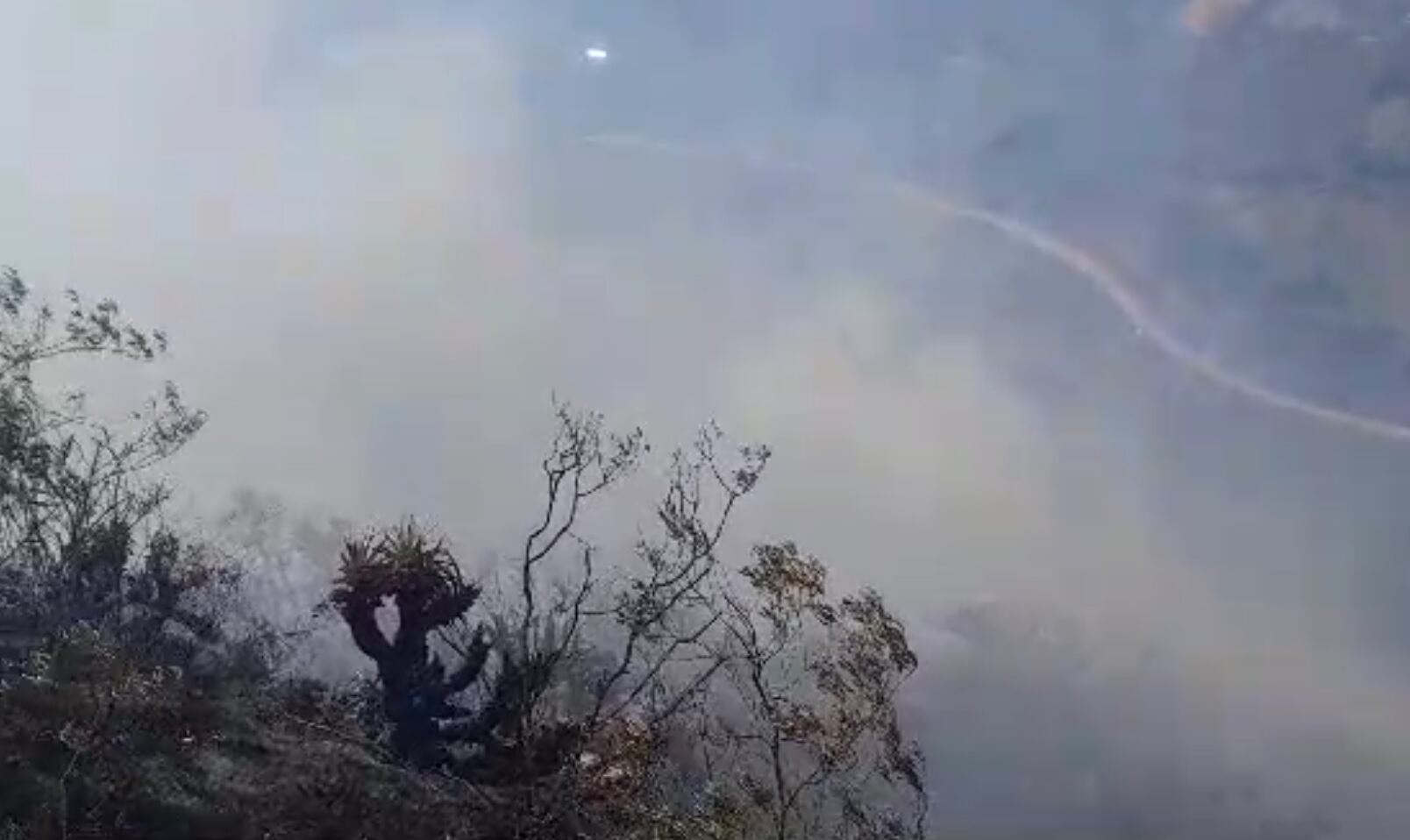En lo que va del año se han registrado 20 incendios forestales en la región, principalmente en la provincia del Santa.
