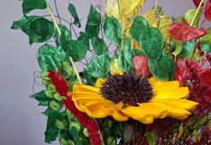 Huancayo: Floricultores tarmeños cultivan flores secas muy pedidas en San Valentín