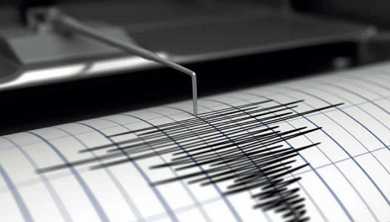 El movimiento fue percibido durante entre 40 segundos y un minuto en distintas zonas de Panamá. Autoridades activaron protocolos de seguridad y, en un primer balance, no reportaron víctimas ni daños materiales.