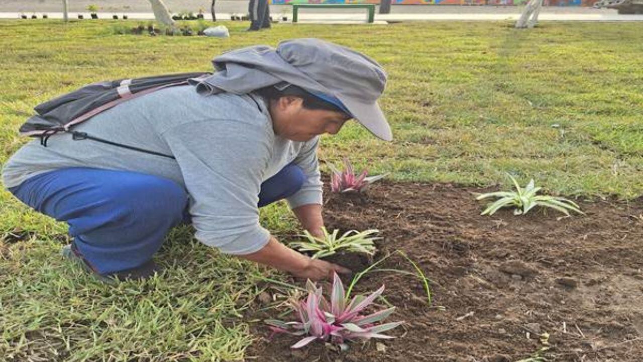 Para el riego y mantenimiento de sus áreas verdes en el distrito de Alto Trujillo.