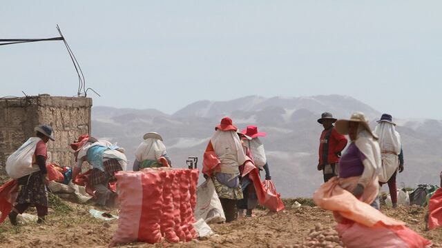 Arequipa: mil jornales cobrarán usuarios de juntas por obras de riego y drenes 