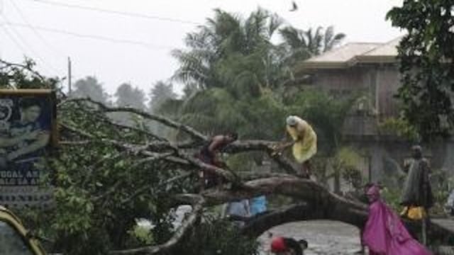 Filipinas: Se elevan a 200 los muertos por Tifón "Bopha"