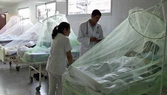 El país afronta actualmente el mayor brote de dengue de este siglo. (Foto: Andina)