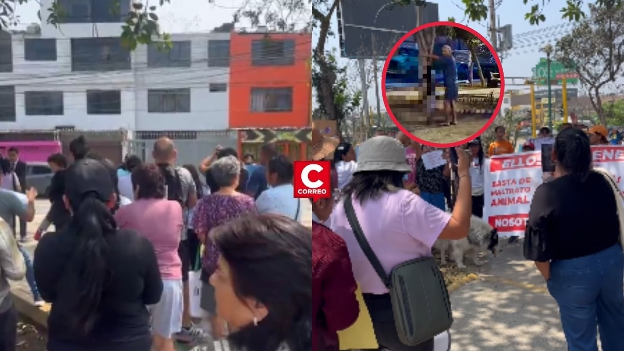 Independencia: Activistas exigen hasta 5 años de cárcel contra hombre que asfixió a perrita “Susu”. Composición: Diario Correo.